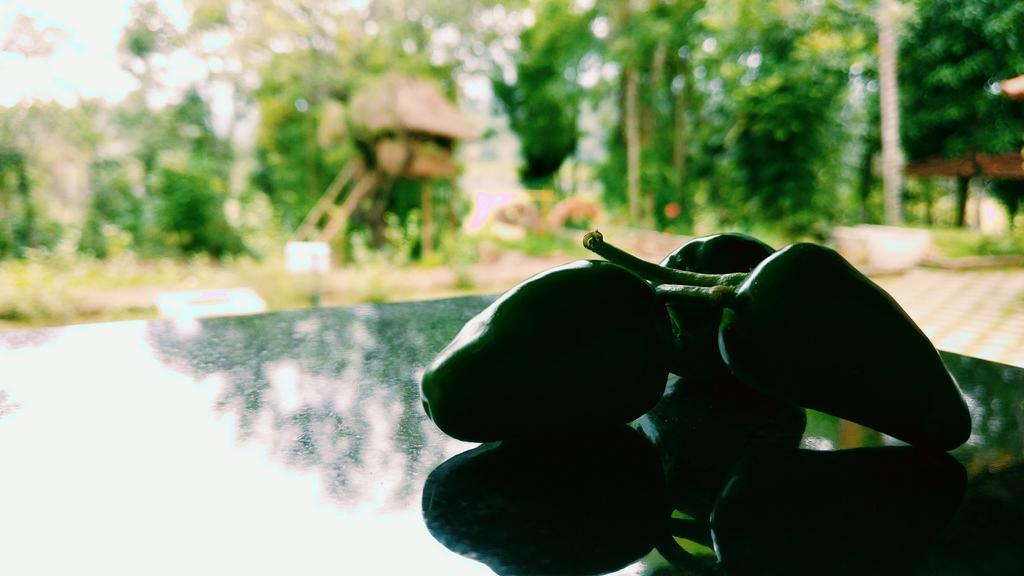 Palkadavu Warium Villa Mananthavady Exteriér fotografie